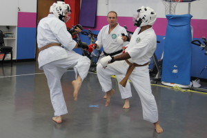 Karate and mixed martial arts kumite fighting