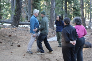 Internal martial arts rooting exercise