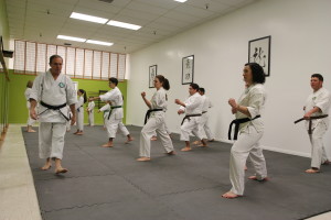 Karate-Training-Sensei-Paul