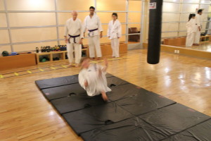 Rolling and falling ground skills