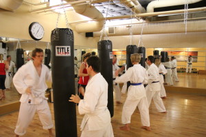 martial arts heavy bag hitting