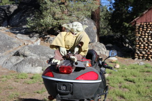 may the force be with you