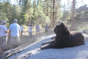 Mono Hot Springs Martial-Arts Camp 2014