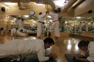Carmel Valley / San Diego Martial Arts dojo Anniversary, 2014