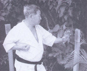 makiwara-meitoku-yagi