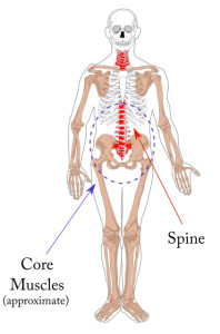 martial-arts-human-spine