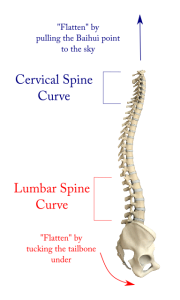martial-arts-spine-straightening-flattening
