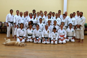 Arrowhead-Karate-Camp-2016-Group-Photo