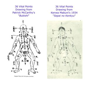 bubishi-36-vital-points