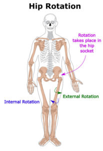 hip-internal-external-rotation