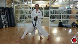 Spinal-Decompression-for-Martial-Artists