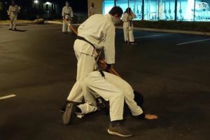 Bo-Partner-Drills-Martial-Arts-Carmel-Valley